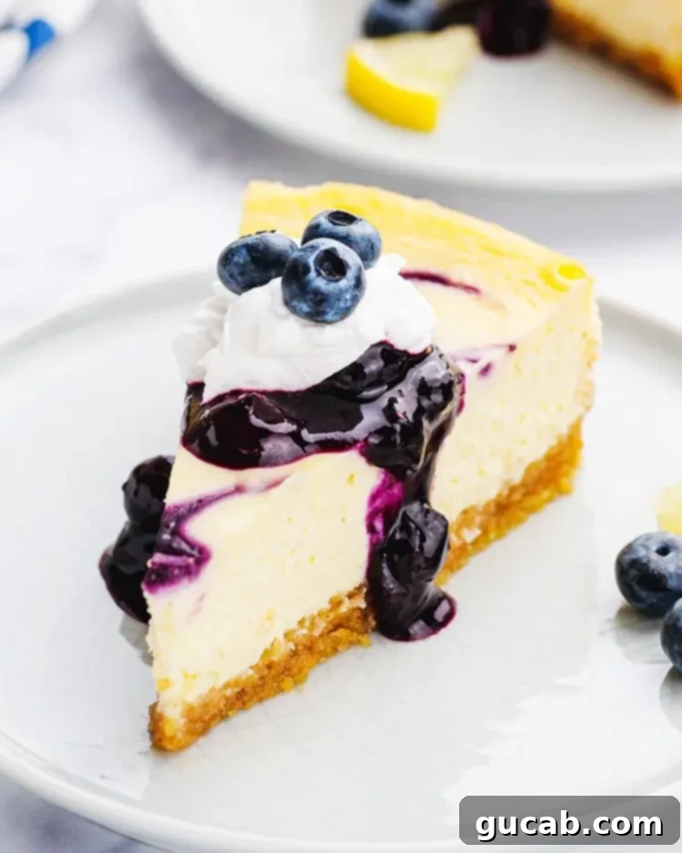 A luscious slice of blueberry cheesecake, topped with a rich, jammy blueberry sauce and an artistic swirl.