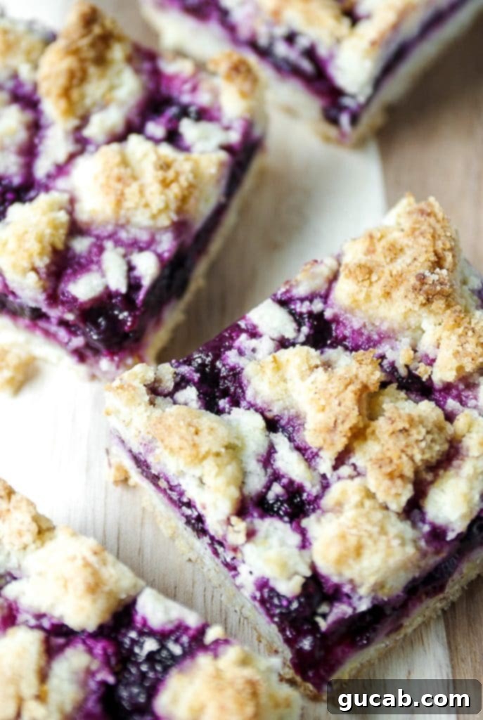 A pan of golden-brown blueberry crumble bars, showing a thick layer of fruit filling beneath a crumbly oat topping.