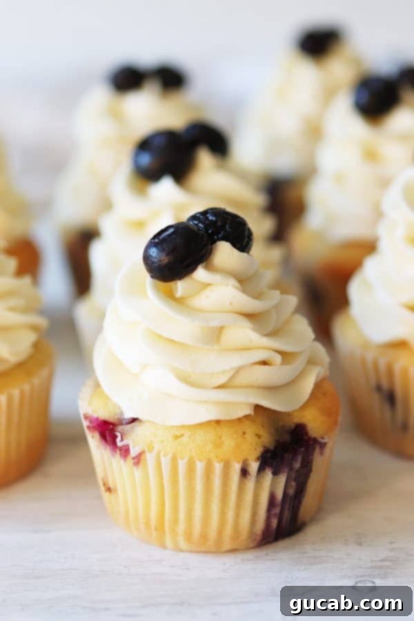 A trio of blueberry cupcakes, each crowned with a swirl of vanilla frosting and fresh blueberries.