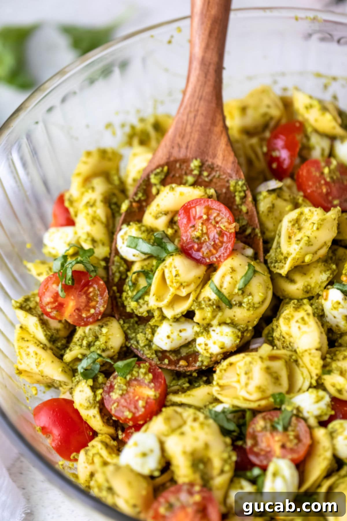 A vibrant bowl of tortellini pasta salad coated generously in a rich green pesto sauce, ready to be served.