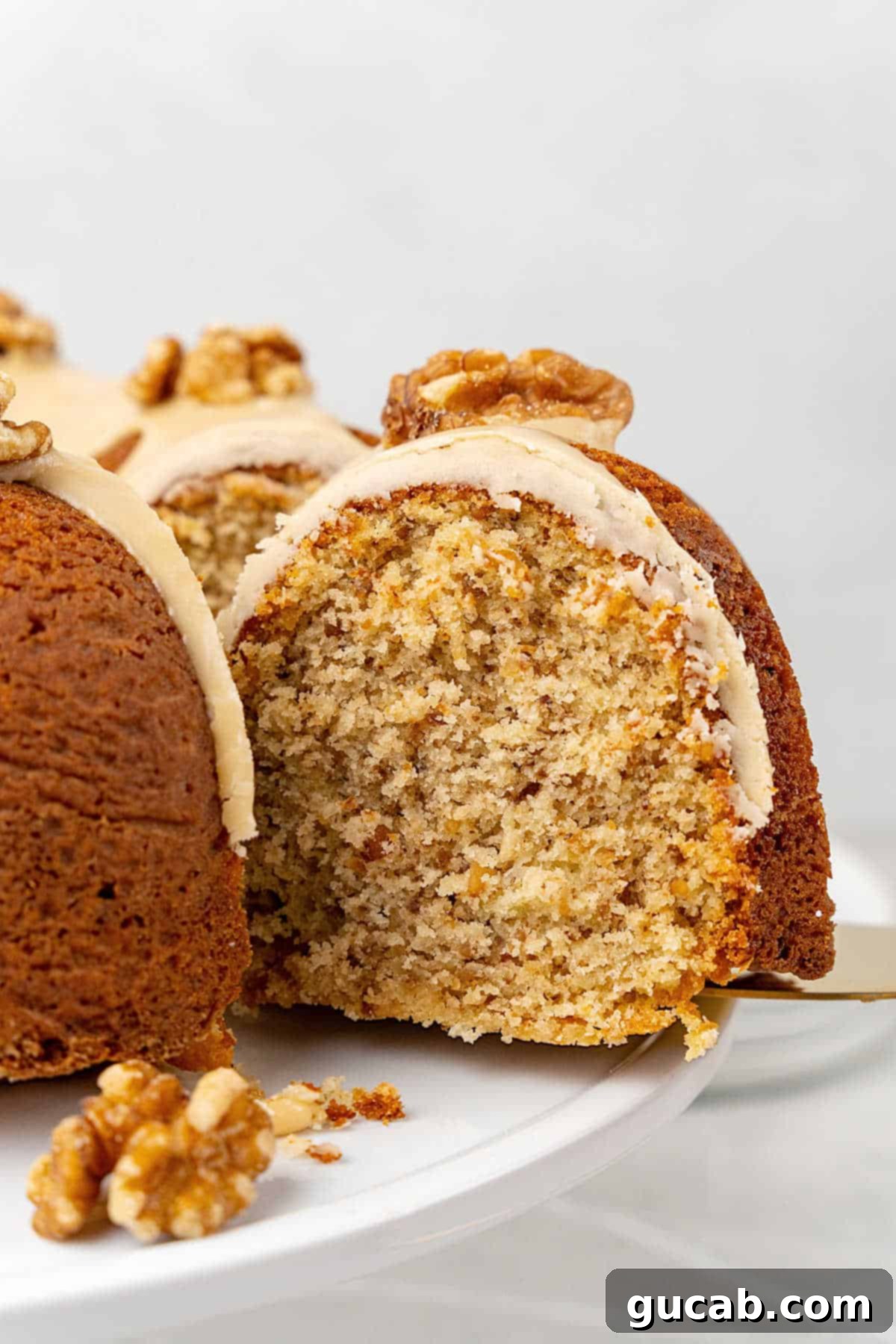 a slice of maple walnut cake 