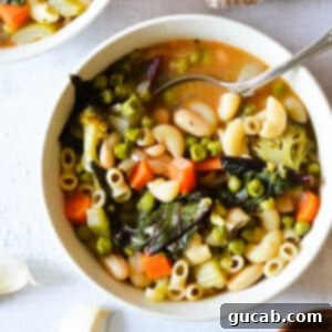 Vibrant Veggie Noodle Bowl 11 A bowl of heartwarming veggie and noodle soup, ready to be enjoyed with a spoon.