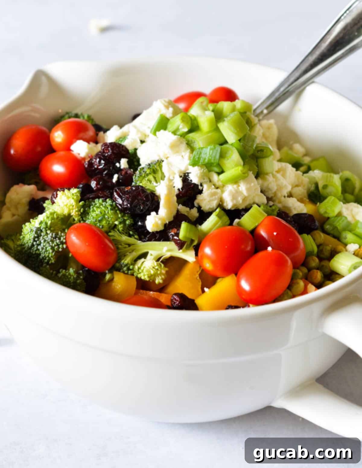 Dawn's Delightful Plant-Based Pasta Toss 5 A large mixing bowl filled with cooked shell pasta, grape tomatoes, green onions, broccoli, dried cranberries, dried peas, and feta cheese, before the dressing and avocado are added.