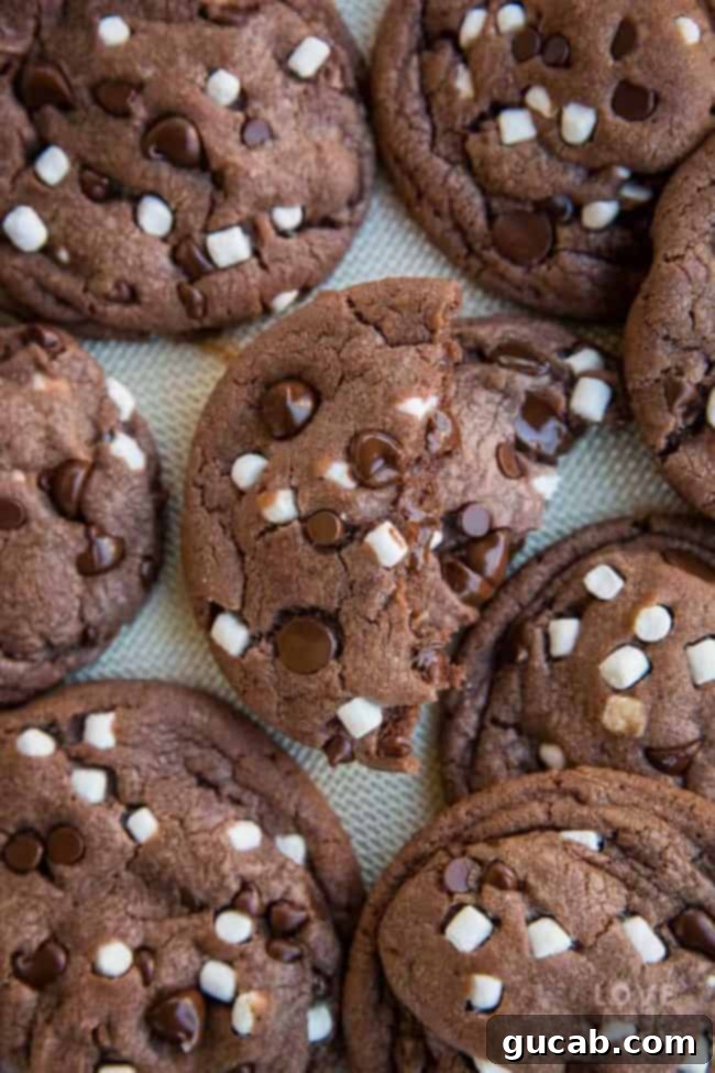 hot chocolate cookies with mini marshmallows and chocolate chips in them,. 