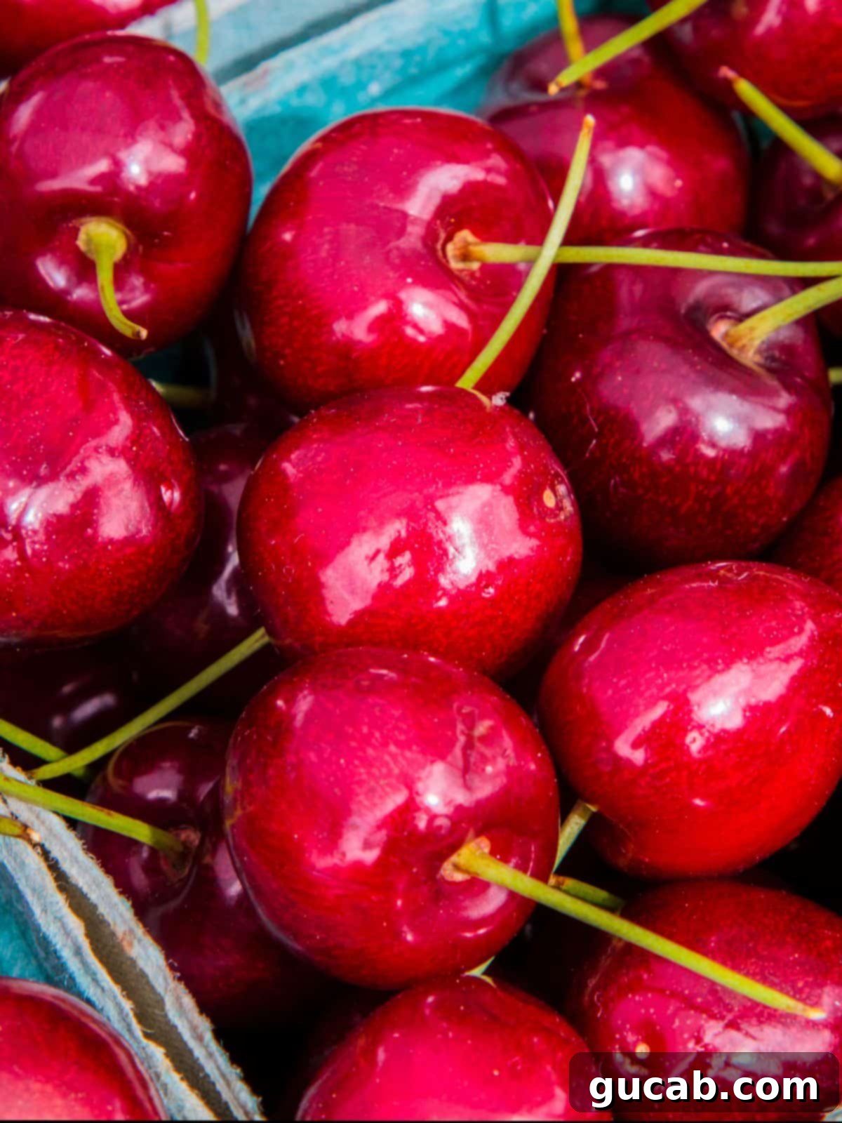 close up of fresh bing cherries.
