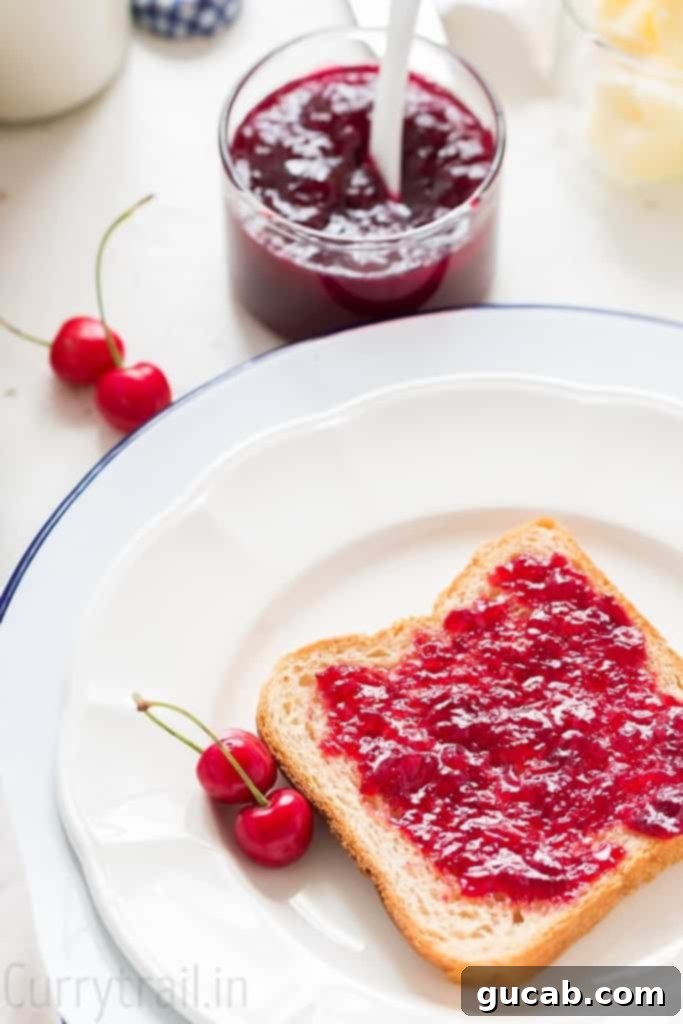 a slice of toast with homemade cherry jam on it.