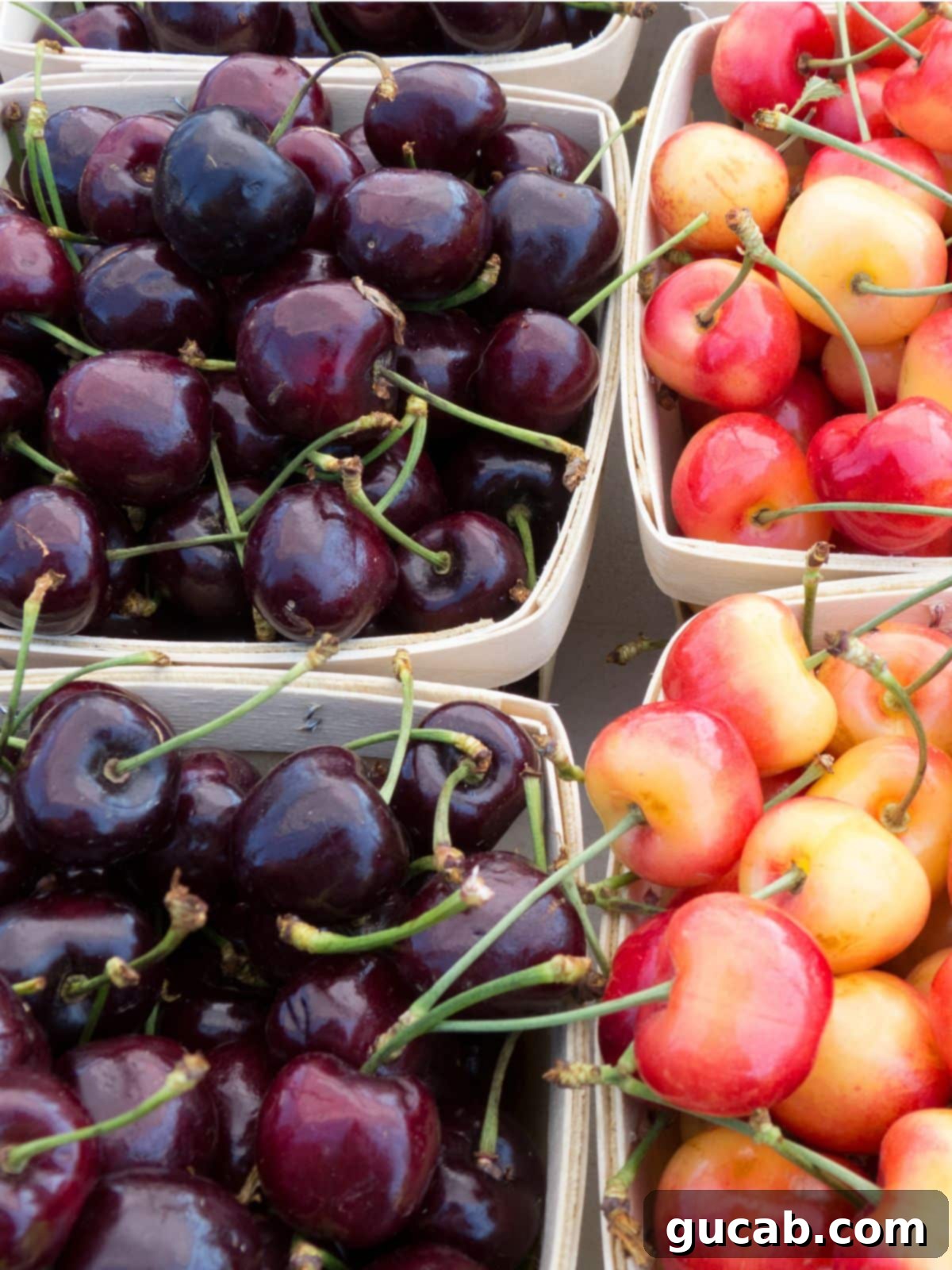 baskets of fresh cherries