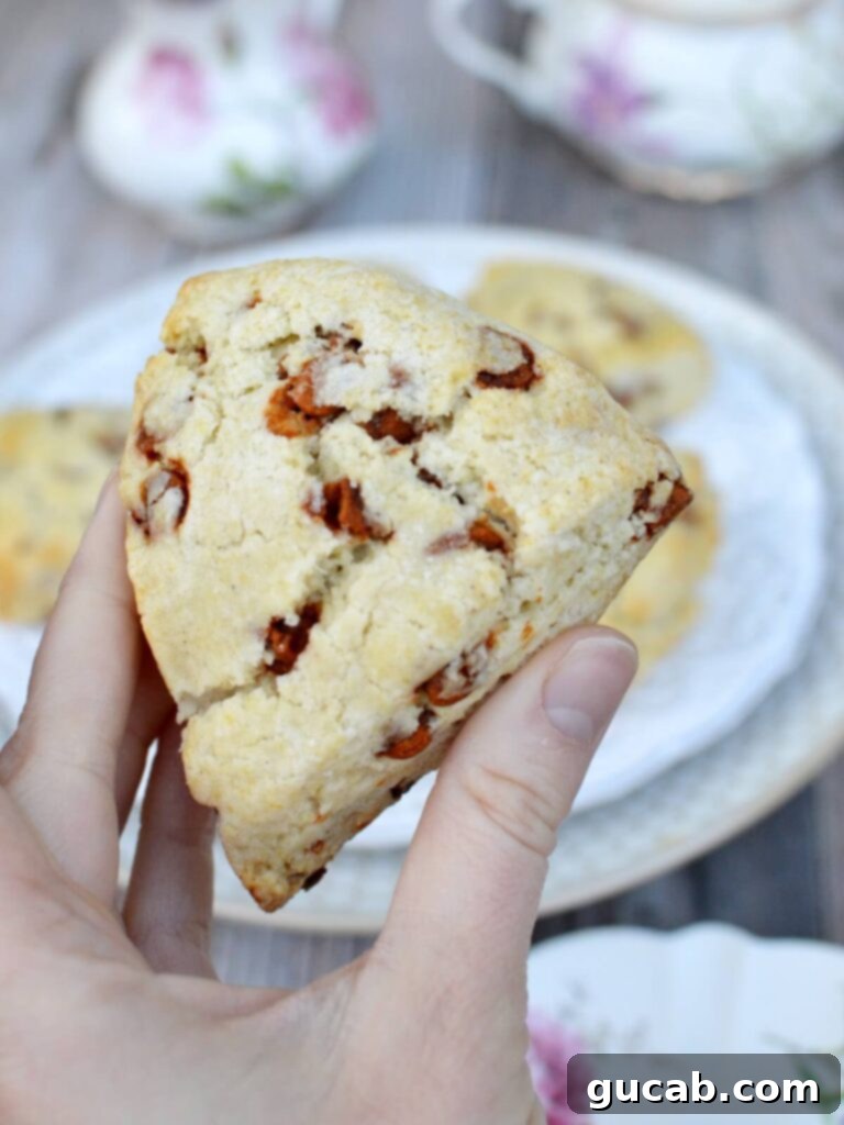 Close up of a beautifully baked gluten free cinnamon chip scone, showcasing its flaky texture and cinnamon swirls.
