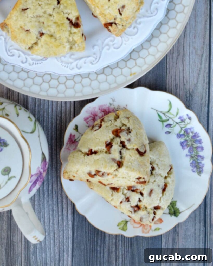 A plate of two perfectly baked gluten-free cinnamon chip scones, showcasing their golden-brown tops and inviting texture.