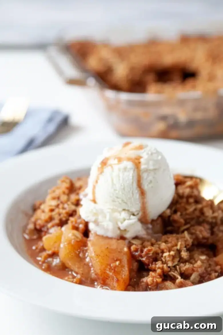 Deliciously Gluten-Free Thanksgiving: 19 Must-Try Recipes 11 A warm bowl of gluten-free apple crisp topped with a scoop of vanilla ice cream, showcasing its gooey apple filling and golden, crunchy oat topping, a perfect holiday dessert.