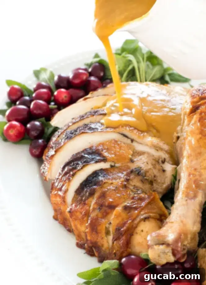 Deliciously Gluten-Free Thanksgiving: 19 Must-Try Recipes 17 Slices of succulent roasted turkey breast generously drizzled with a rich, dark gluten-free turkey gravy, emphasizing its perfect texture and color.