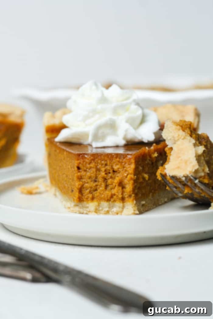 Deliciously Gluten-Free Thanksgiving: 19 Must-Try Recipes 18 A delectable slice of gluten-free pumpkin pie topped with a swirl of whipped cream, showcasing its flaky crust and smooth, spiced filling, a quintessential Thanksgiving dessert.