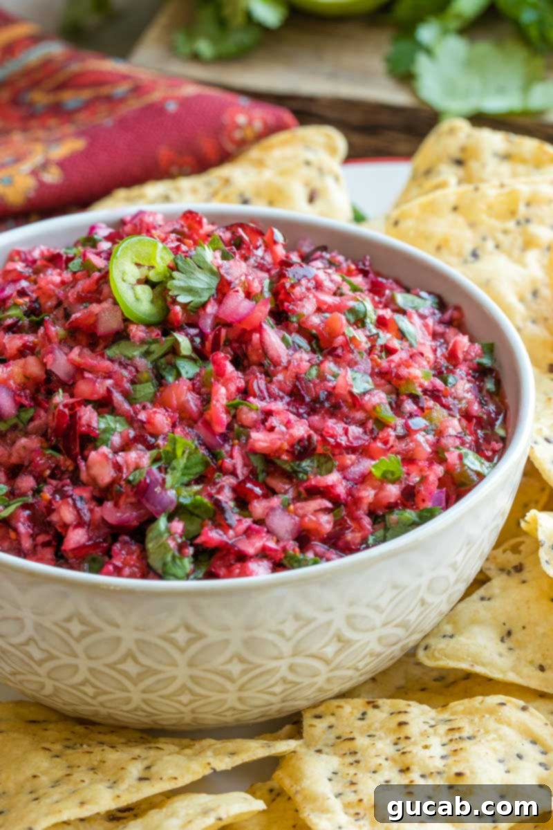Deliciously Gluten-Free Thanksgiving: 19 Must-Try Recipes 19 A vibrant bowl of fresh cranberry salsa, studded with pineapple and other fresh ingredients, serving as a festive and healthy holiday appetizer.