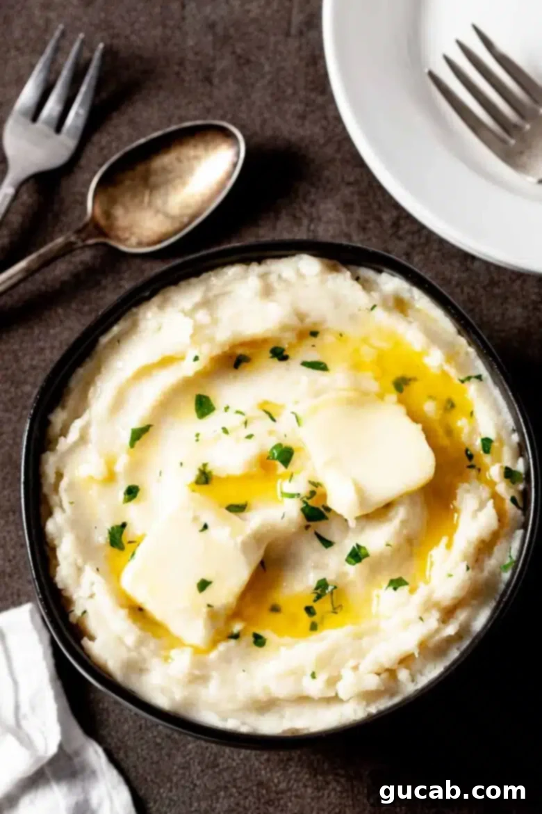 a bowl of mashed potatoes with two pats of butter on top. 