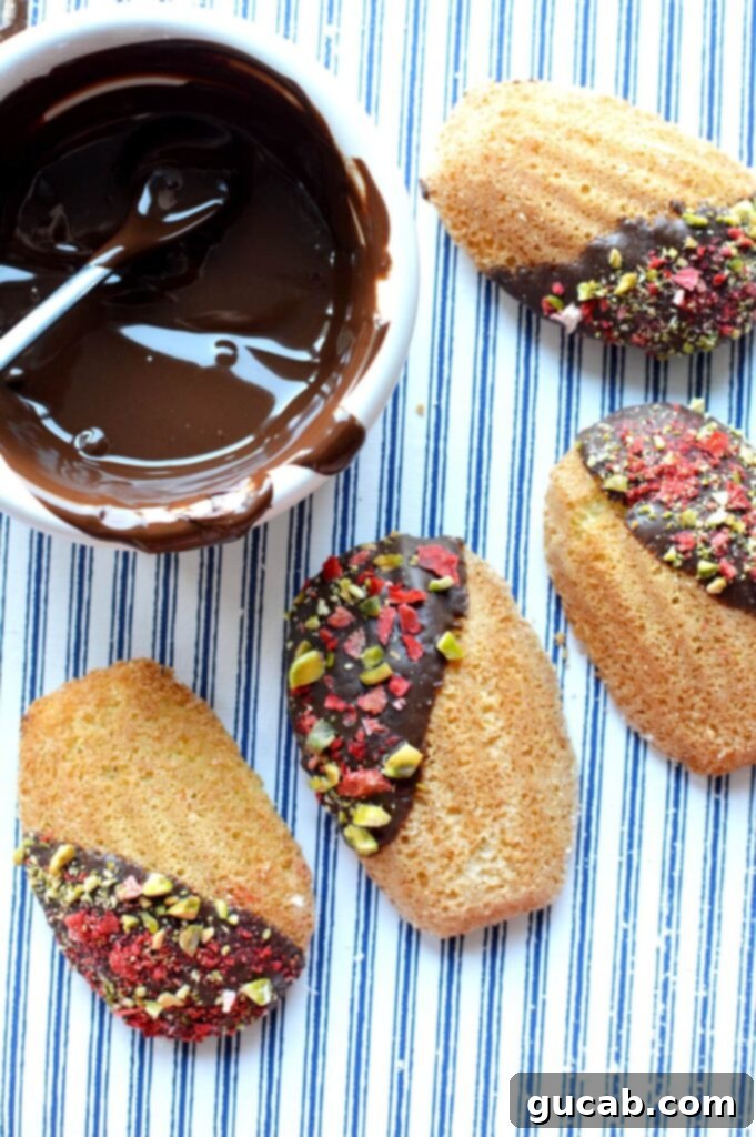 Irresistible Gluten-Free Madeleines 3 Gluten-free madeleines dipped in rich dark chocolate and adorned with vibrant pistachios and dried strawberries.