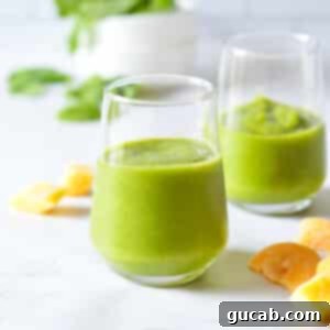 Panera's Emerald Zest Smoothie 8 A vibrant green smoothie in a glass with fresh fruit garnish, ready to be enjoyed. This image captures the deliciousness of Panera's Green Passion Smoothie recipe.
