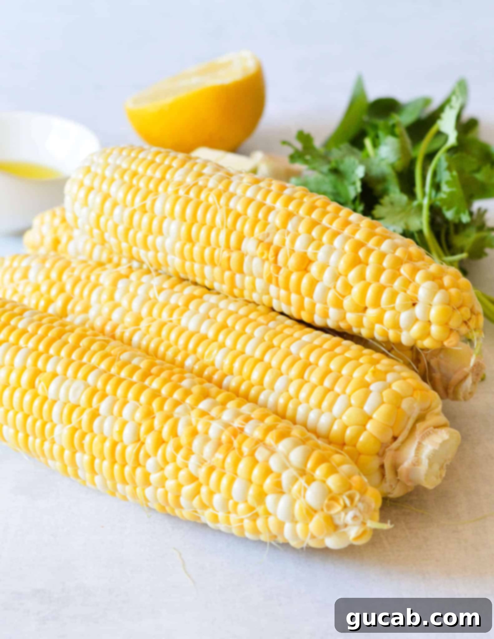 Three perfectly shucked corn cobs, bright yellow and ready for grilling, displayed on a clean surface.