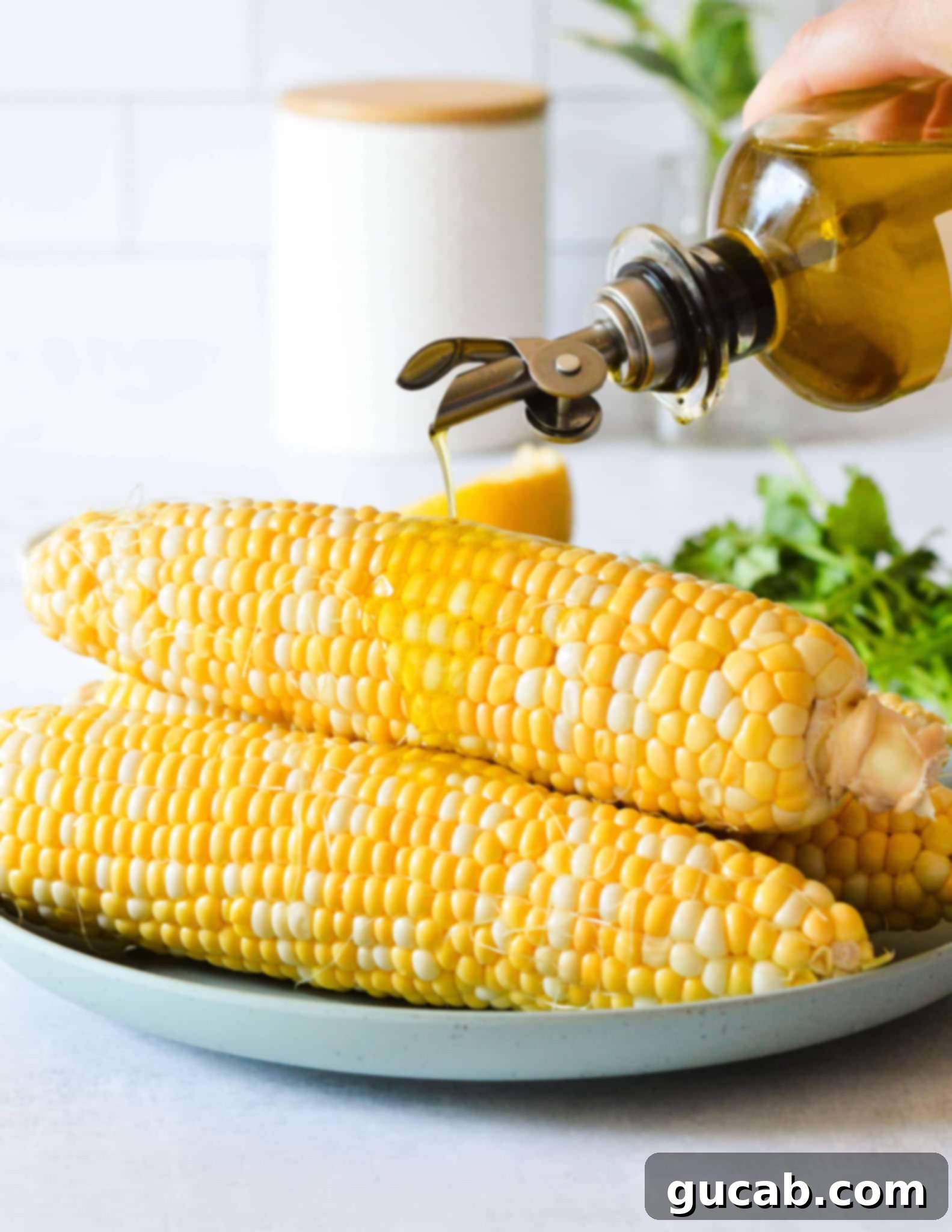 A hand pouring olive oil over several shucked corn cobs arranged on a plate, preparing them for grilling.