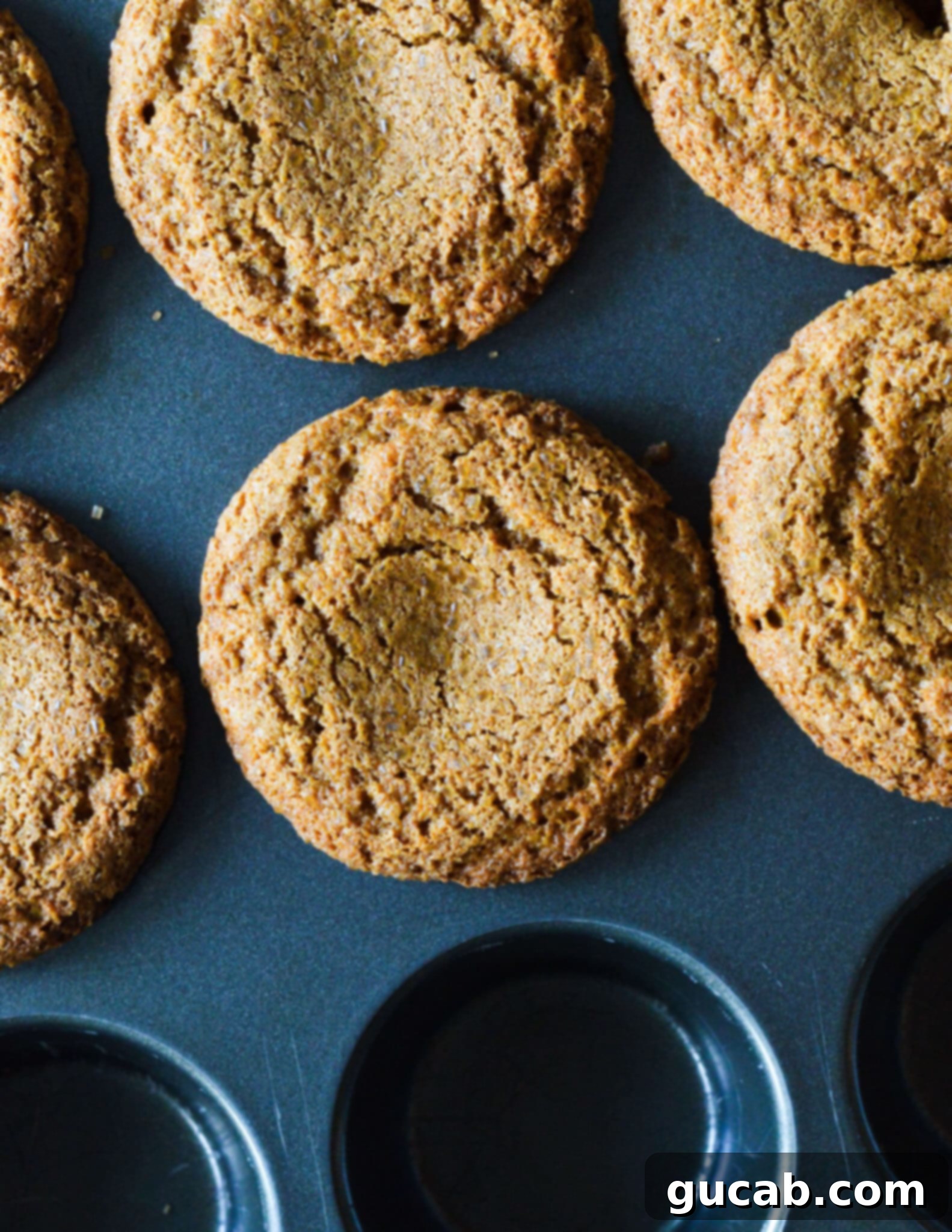 gluten free gingerbread muffins in a muffin tin 