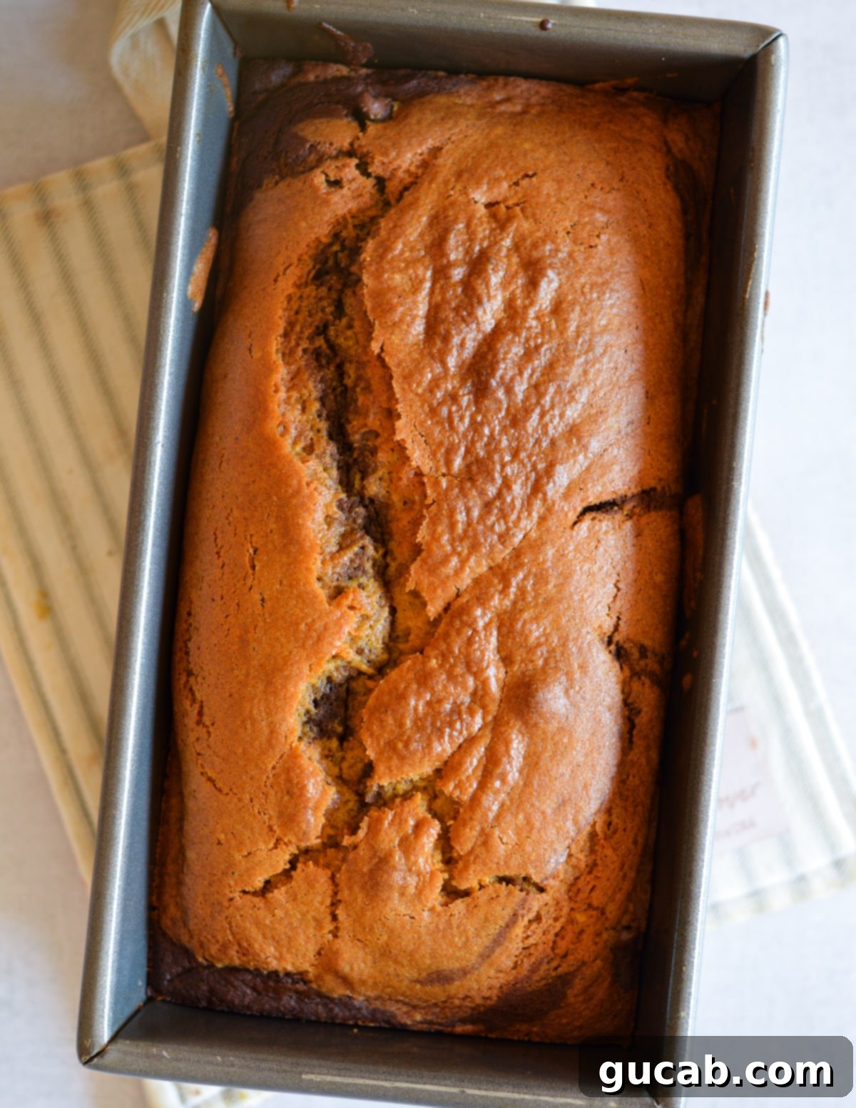 A freshly baked gluten-free pumpkin bread, golden brown and risen, cooling in its loaf pan.