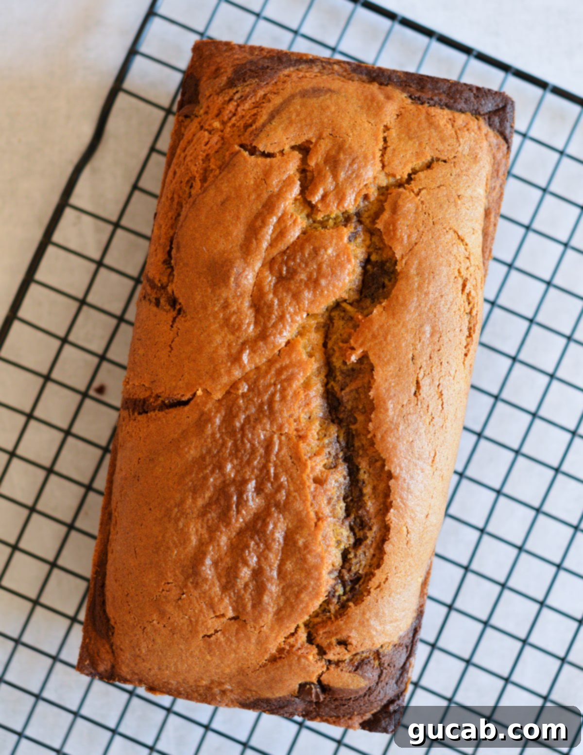 A freshly baked gluten-free pumpkin bread resting on a wire rack, ready for cooling or slicing.