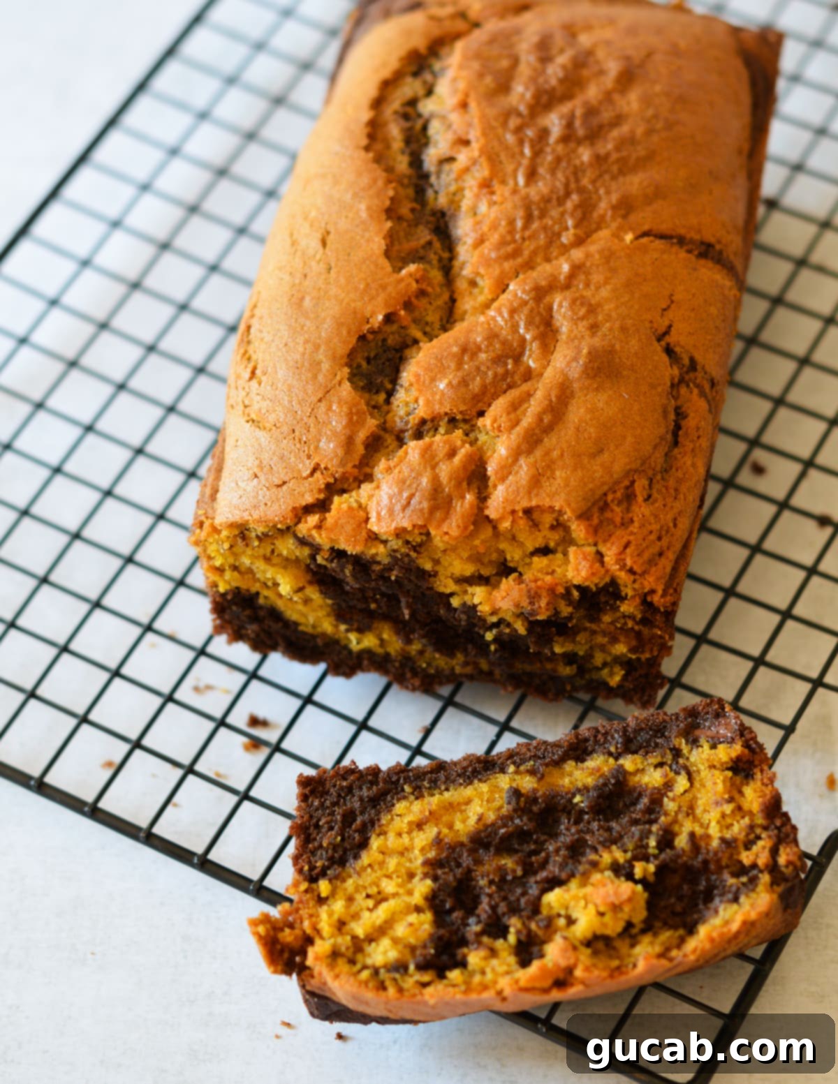 A single slice of moist gluten-free pumpkin bread with a chocolate swirl, elegantly placed on a wire rack.