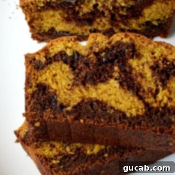 A perfectly baked slice of gluten-free pumpkin bread with a visible chocolate marble swirl.