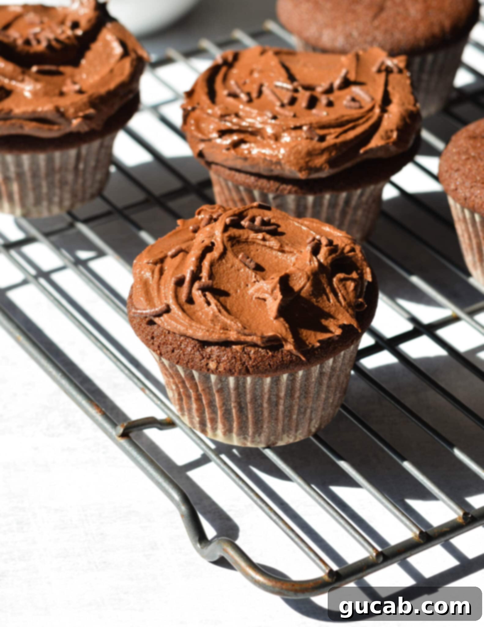 gluten free chocolate cupcakes with chocolate frosting and chocolate sprinkles on a wire rack.