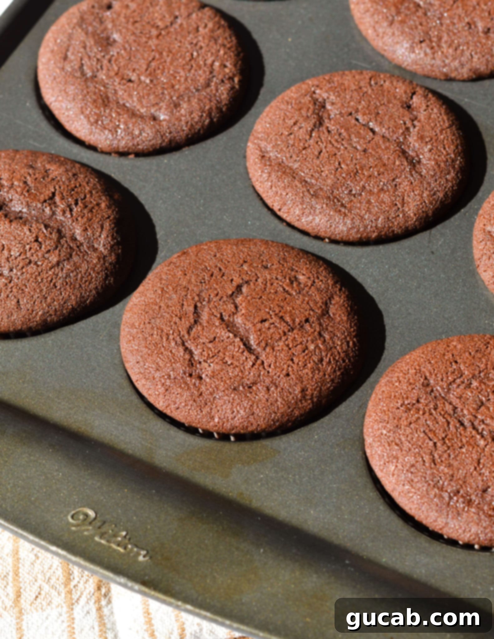 gluten free chocolate cupcakes in a muffin tin
