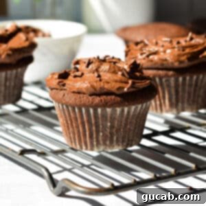 gluten free chocolate cupcake on a wire rack.