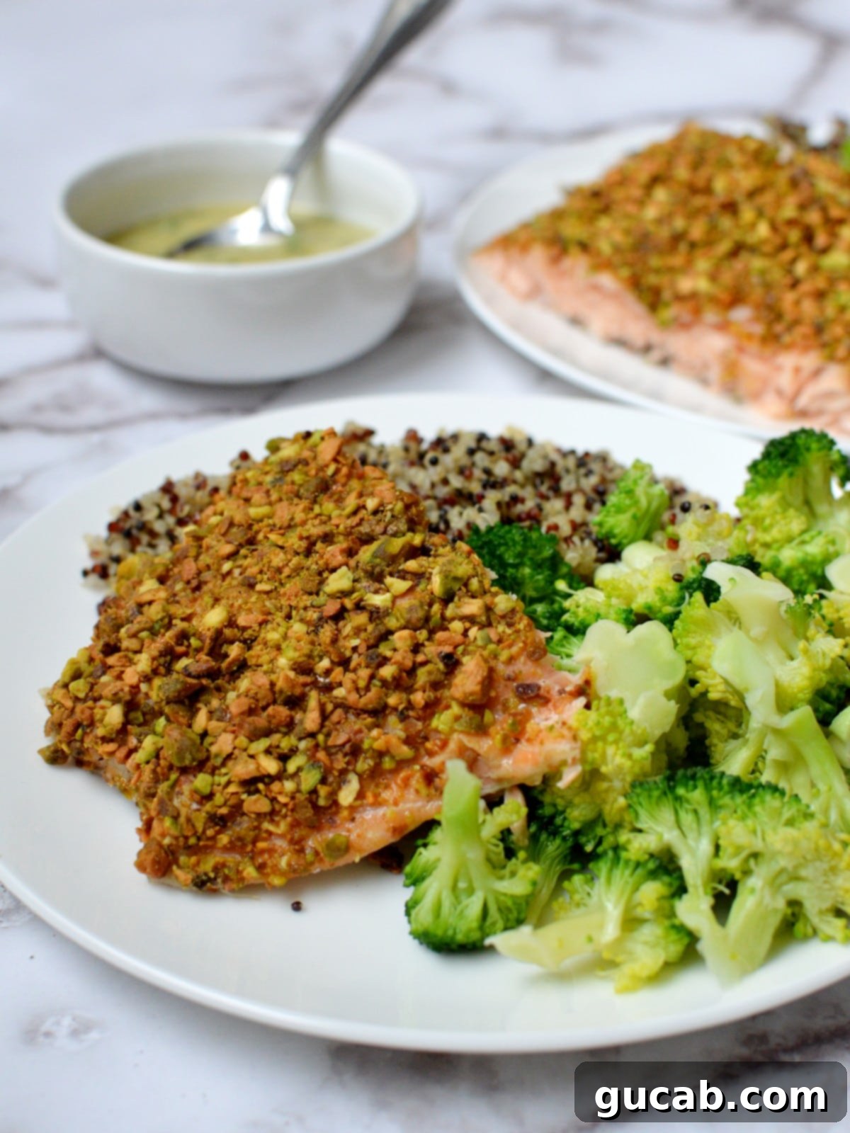 Limon Fesleğen Soslu Antep Fıstıklı Somon 2 Pistachio encrusted salmon with broccoli