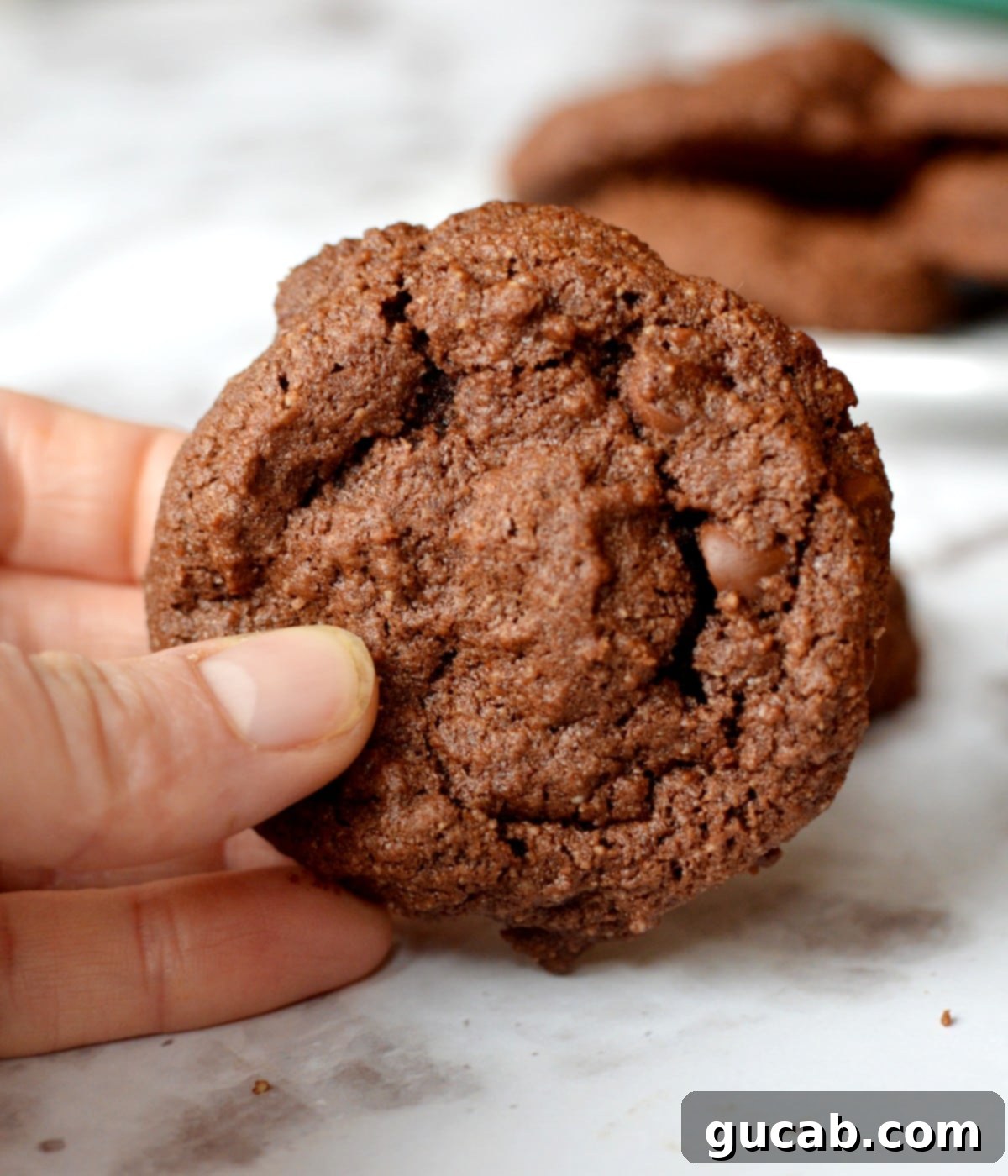 Decadent Chocolate Almond Flour Cookies 3 close up of chewy chocolate almond flour cookies