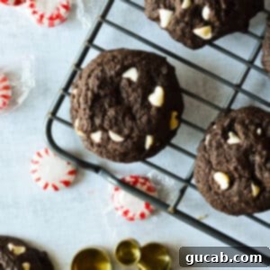 A close-up shot of two fudgy chocolate peppermint cookies on a wire rack, with their white chocolate chips and dark, rich color visible.
