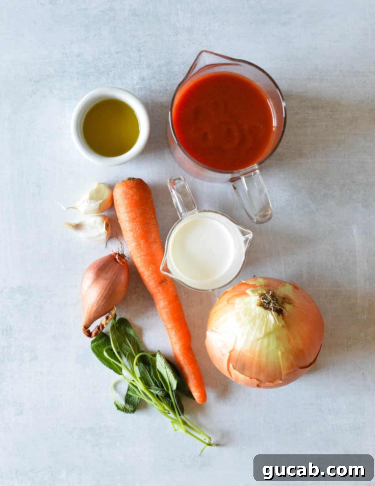 tomato sauce, carrot, pumpkin, onion, shallot, sage, cream, 