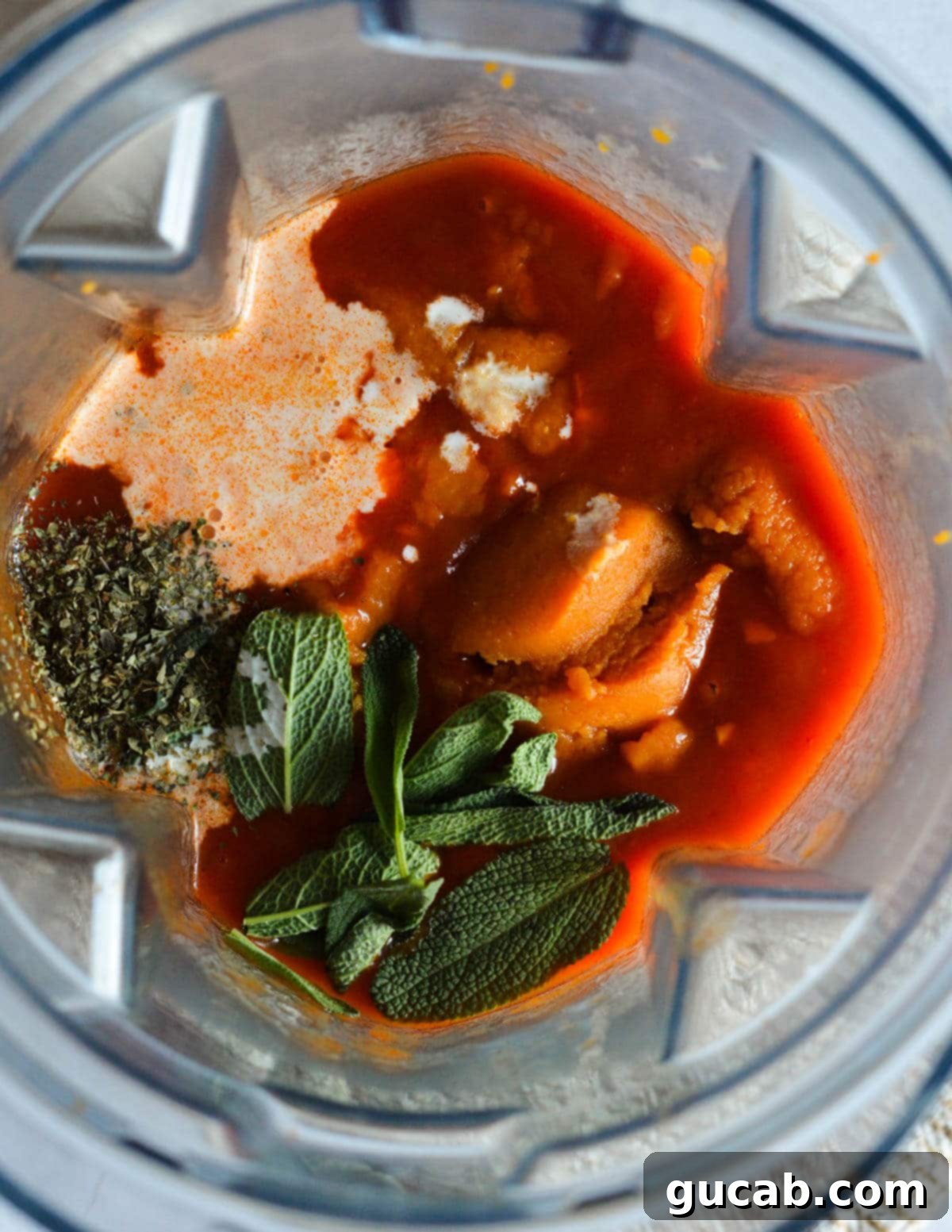 tomato sauce, cream, sage, basil, and pumpkin puree in a blender.
