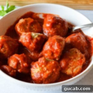 a bowl of turkey meatballs in marinara sauce.