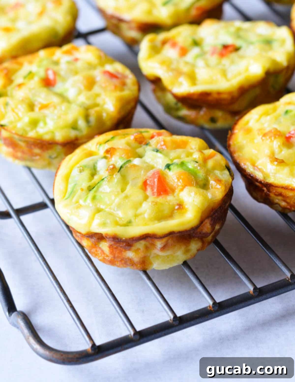 Close up of a freshly baked egg muffin on a wire cooling rack, highlighting its golden-brown top and savory ingredients.