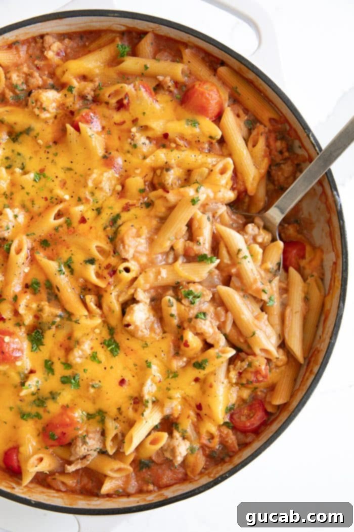 a skillet with cheesy ground turkey pasta in it. 