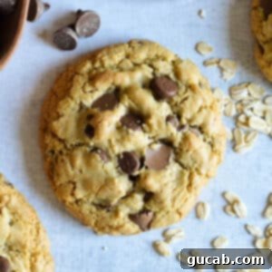 Nutty Brown Butter Chocolate Chip Cookies 18 chocolate chip cookie on a counter with oats next to it.