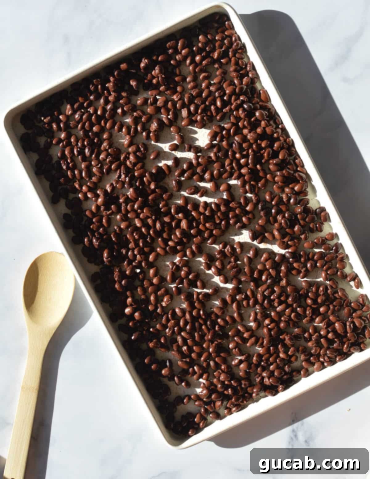 Rinsed and drained black beans spread evenly on a baking sheet, ready for the oven to remove excess moisture, a critical step for creating firm, non-mushy black bean burger patties.