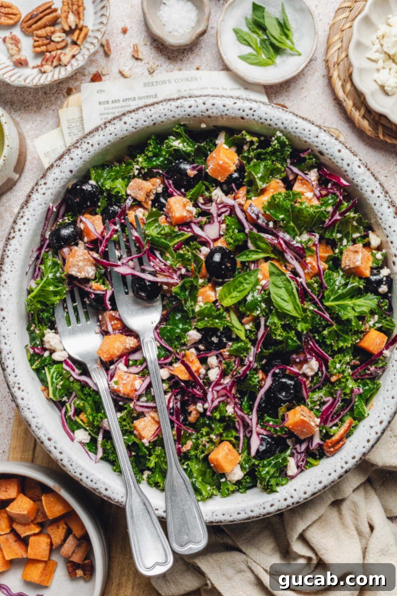 a kale salad with blueberries, cabbage, sweet potatoes, feta, and pecans.