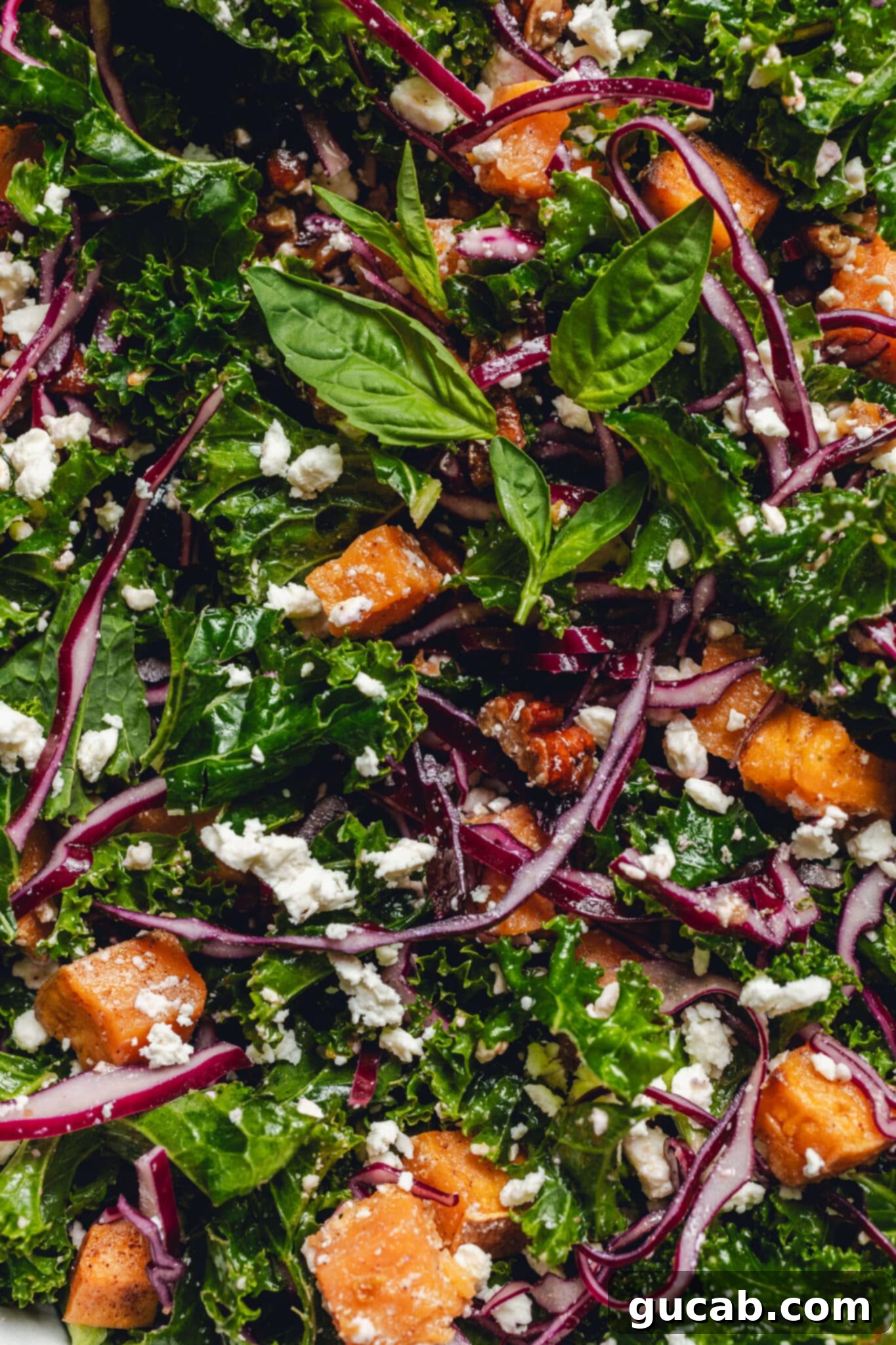 close up of sweet potato kale salad with feta and cabbage.
