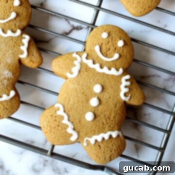 Melt-in-Your-Mouth Gluten-Free Gingerbread Cookies 5 gluten free gingerbread cookies
