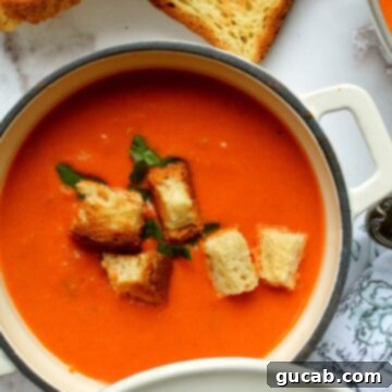 Tomato bisque with croutons