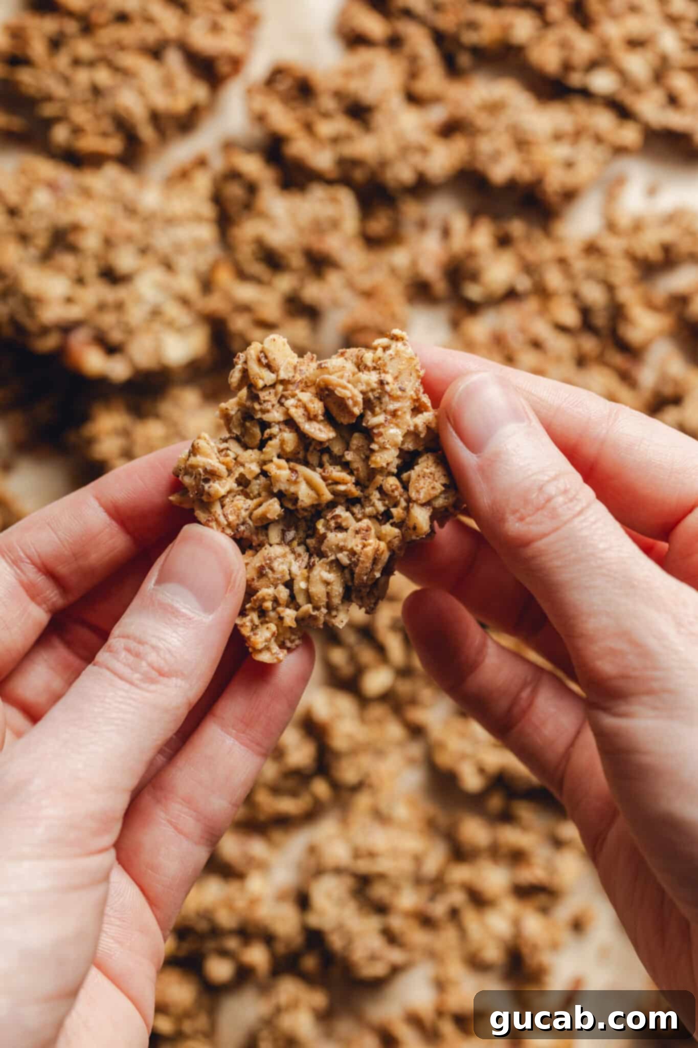 hand holding a granola cluster. 