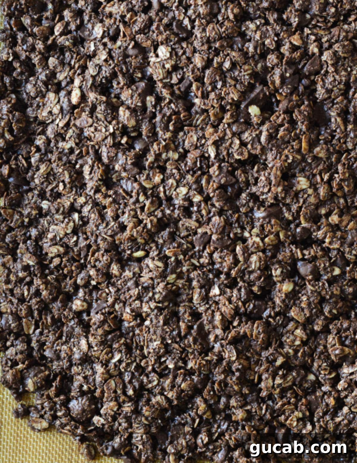 Dark Chocolate Granola 14 Freshly baked chocolate granola, still in a large rectangle, on a sheet pan, showing its golden-brown color and firm texture.