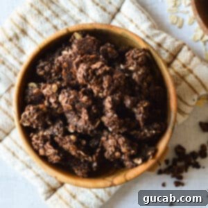 Dark Chocolate Granola 18 A beautifully composed bowl of dark chocolate granola, highlighting its rich color and delightful clusters.