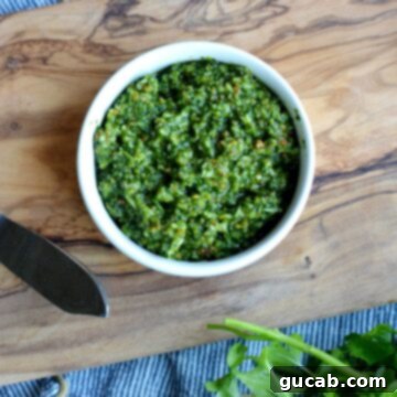 Vibrant Cilantro Mint Pesto 4 A fresh batch of green cilantro mint pesto in a small bowl with cashews and herbs visible.