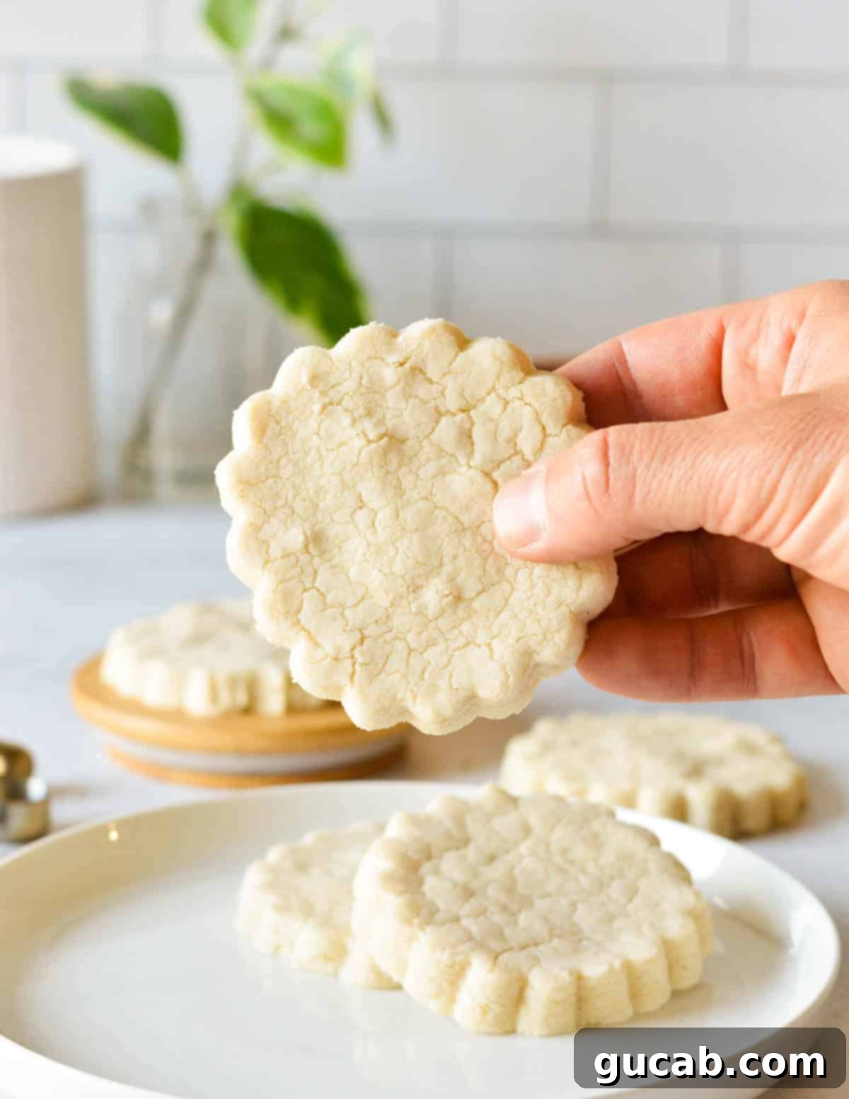 Buttery Gluten-Free Shortbread 12 hand holding a gluten free shortbread cookie.
