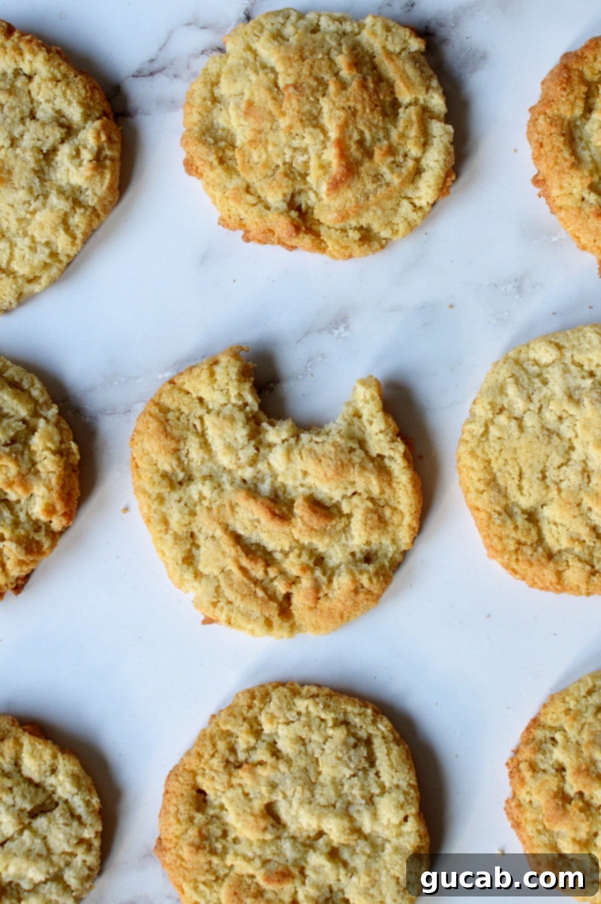 Delicious coconut flour oatmeal cookies arranged on a kitchen counter, showcasing their golden-brown edges.